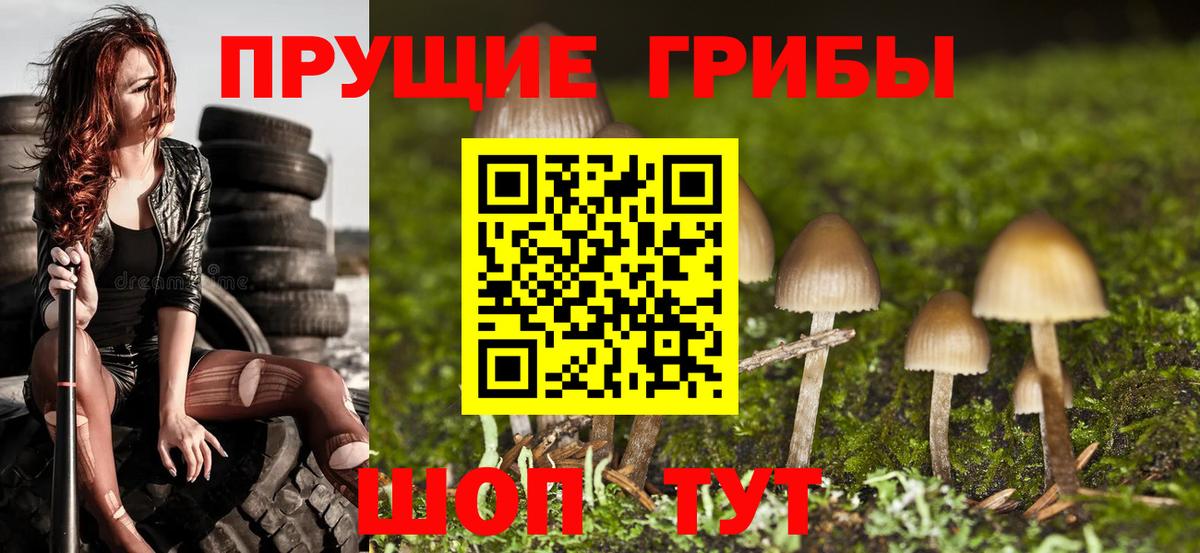 Псилоцибиновые грибы MAGIC MUSHROOMS Белореченск