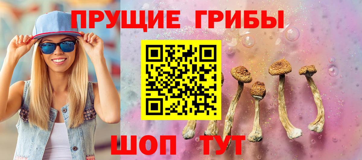 Белореченск  Псилоцибиновые грибы мицелий  где найти наркотики  Вход с VPN 